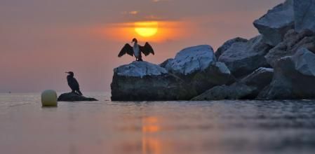La calima en el primer amanecer de la primavera en Fuengirola.