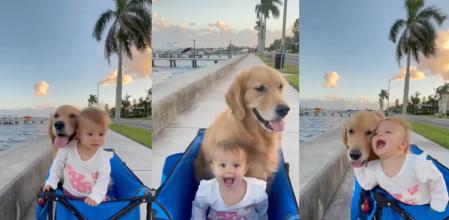 Un bebé y su perro juegan en un carrito.