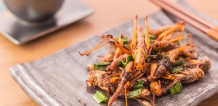 Cocina con insectos: 3 recetas que cambiarán tu perspectiva