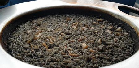 Recetas fáciles que cualquiera puede preparar y que te salvarán en cualquier situación