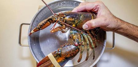 ¿Cuántos minutos de cocción necesita cada tipo de marisco?