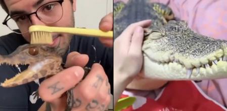 Rescata a un cocodrilo y se convierte en su mejor amigo