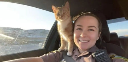 El gato se encariñó rápidamente con la policía