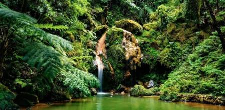 Parque termal de Caldeira Velha en la isla de San Miguel (Azores).