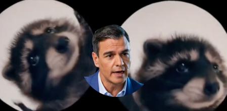 “Pedro, Pedro, Pedro”: la razón por la que la canción de Rafaela Carrá se ha hecho viral en TikTok