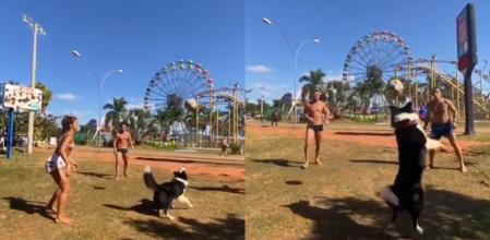 El perro salta con destreza para atrapar el balón.