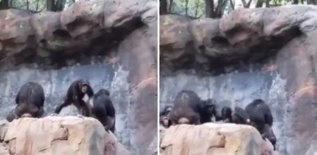 La madre golpea a su hijo tras lanzar piedras