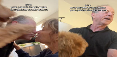 La usuaria que ha colgado el vídeo se lo ha tomado a broma