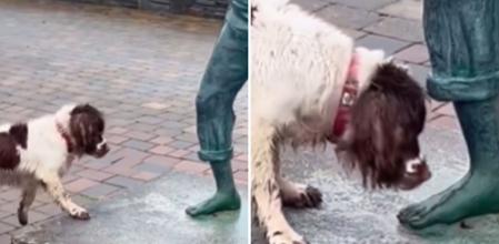 El perro quería jugar con la pelota de la estatua