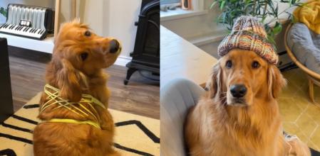 Pacha y sus increíbles 'looks'.