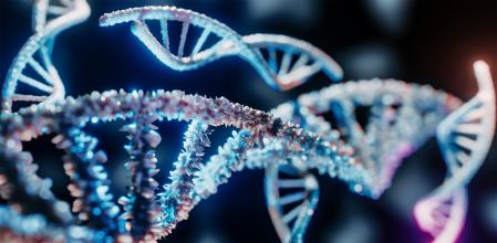 Imagen generada por ordenador de un fragmento de ADN