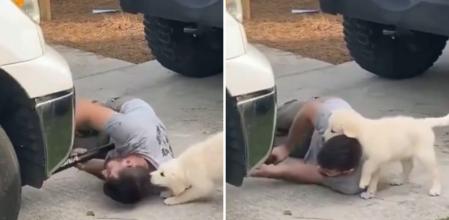El perro mordisquea al mecánico cuando está en el suelo