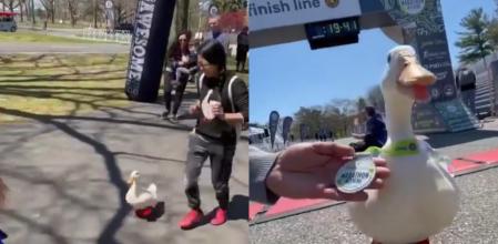 El pato ha conquistado a los usuarios.