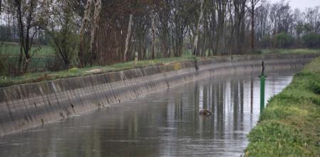 Imagen del cadáver en el canal de Urgell en Anglesola