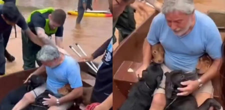 Cuando se encontró con los animales, estalló en lagrimas