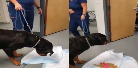 Es un momento de absoluta vergüenza