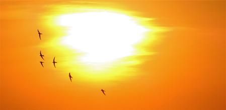 El sol del atardecer de las golondrinas en Rota.