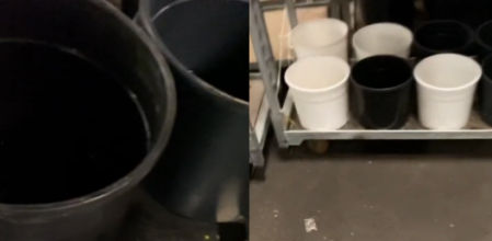 Las macetas llenas de agua