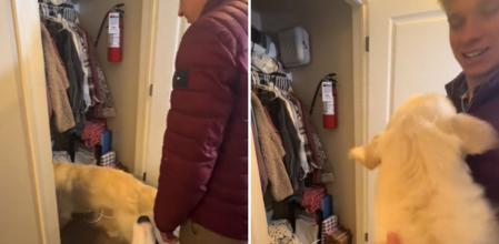 La emotiva reacción de un golden retriever al meterse y salir de un armario: