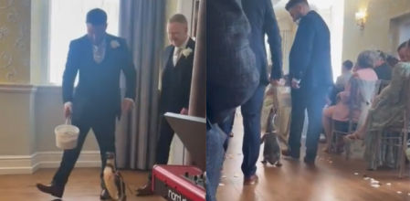 La aparición estelar de Widget, el pingüino