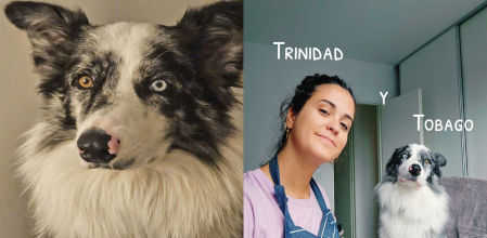 Esta tiktoker ha utilizado un juego de palabras