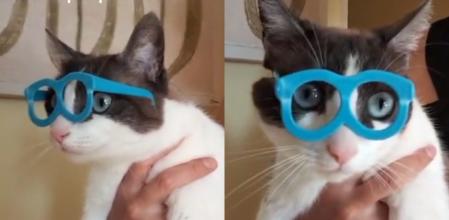 Margarita y sus nuevas gafas.