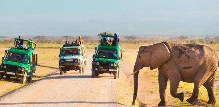 Parque Nacional de Amboseli