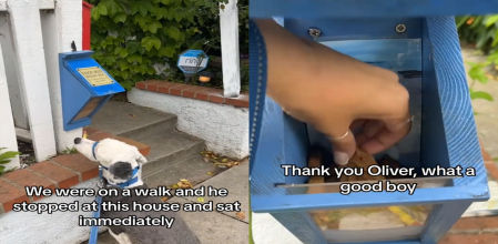 La caja había sido puesta en memoria de Oliver