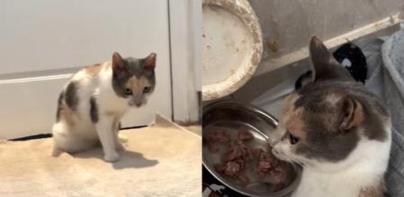 Faith ha protagonizado una historia de superación.