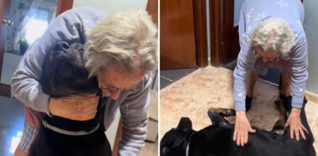 La tierna reacción de un rottweiler a las caricias de su abuela: 
