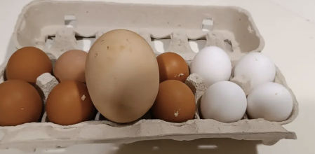 Es la primera vez que les sucede algo así