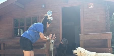 Residencia canina El Gos Blanc. Castellolí