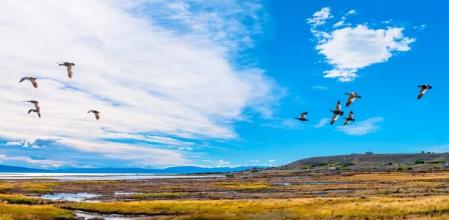 El Calafete, Argentina