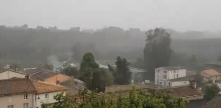 El rayo impacta y hace añicos el árbol