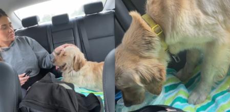 El perrito junto a sus nuevas dueñas.