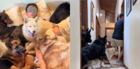 El joven vive con todo tipo de perros.