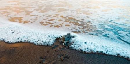 Parque Nacional Tortuguero