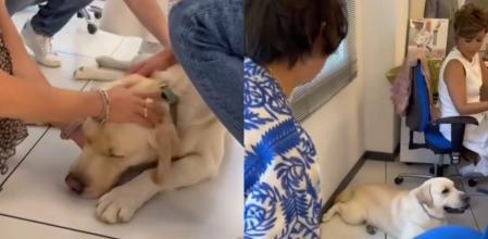 Sonsoles y su perrito Take.