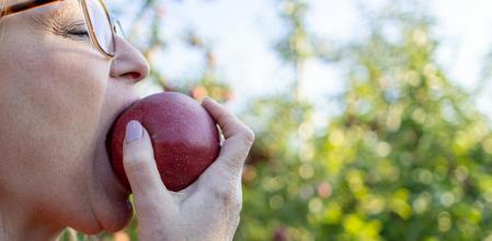 ¿Es cierto que los consejos sobre nutrición cambian de forma constante?