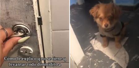 La enternecedora reacción de un perrito cuando su dueña va al baño por las noches: 