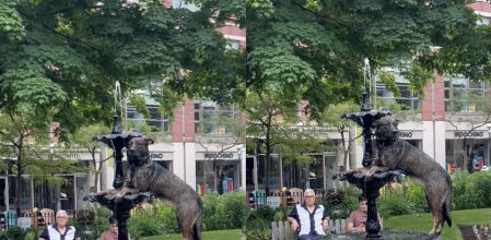 El perro posando en la fuente como si fuera una estatua