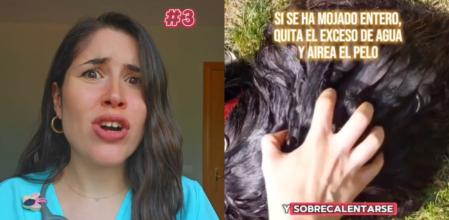 Los consejos de la veterinaria María.