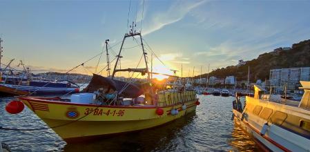 Barco en el puerto de blanes