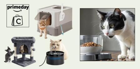 Accesorios para gatos con descuento del Prime Day