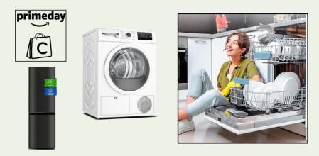 En cualquier hogar es interesante tener este tipo de electrodomésticos, y renovarlos es obligado cada ciertos años