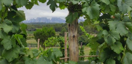 Heretat Oller del Mas.