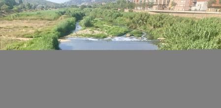 Tanquen el parc fluvial del Besós per la mort de centenars de peixos