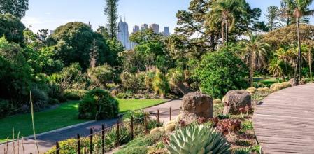 Real Jardín Botánico, Melbourne