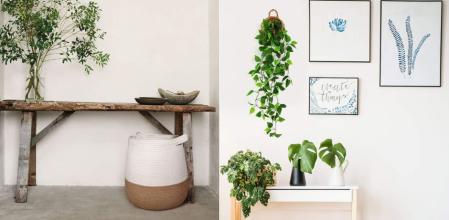 Ideas de decoración para pasillo estrecho y oscuro