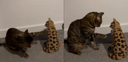 El gato y su figura de Lego.